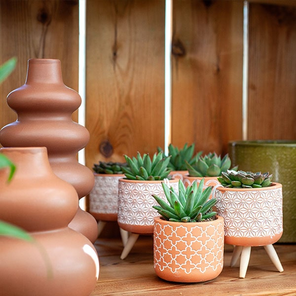 Dekoratives und Geschenke aus ihrer Gärtnerei Rühe in Mirow