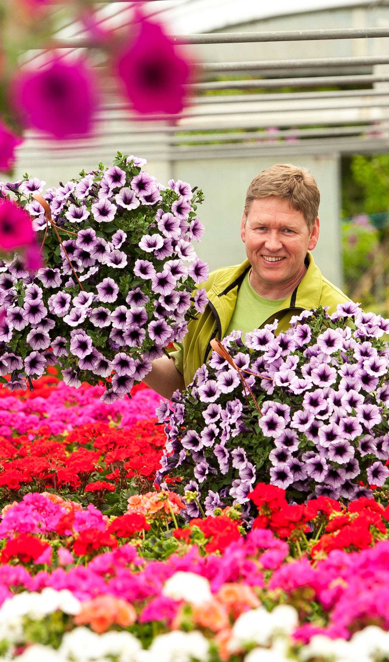 Thomas Rühe Gärtnerei Rühe in Mirow Regionale Pflanzen und Blumen