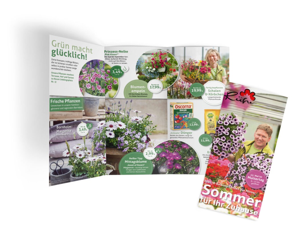 Sommerpflanzen, Beet- und Balkonpflanzen Angebote Gärtnerei Rühe Mirow