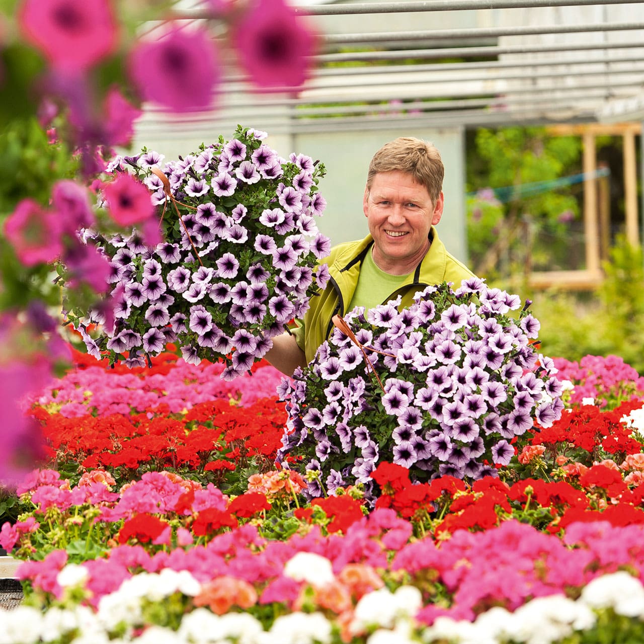 Pflanzensortiment Beet- & Balkonpflanzen ab April entdecken in der Gärtnerei Rühe Mirow