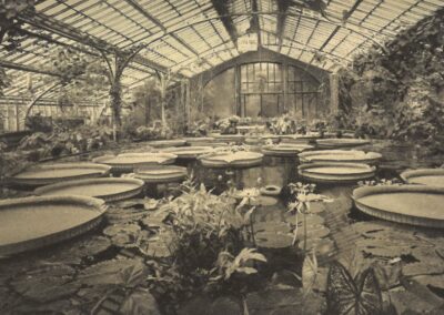 Gewächshaus – Gärtnerei Rühe in Mirow