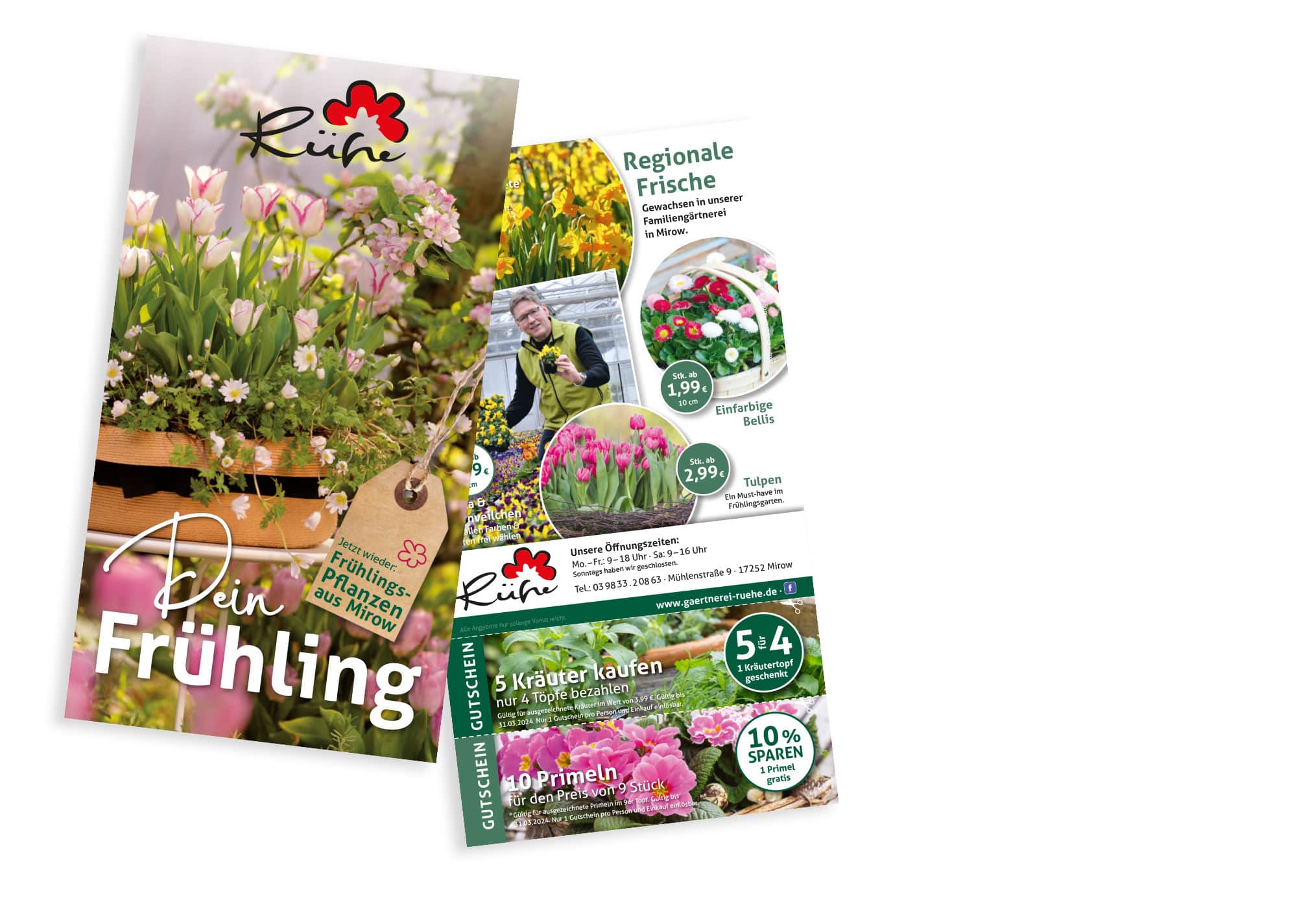 Flyer Frühlingspflanzen und Frühblüher aus Mirow Gärtnerei Rühe