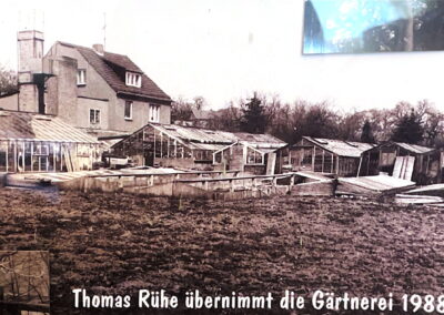 Neues Gewächshaus 1988 – Gärtnerei Rühe in Mirow