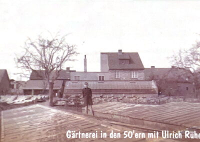 Gärtnerei in den 50er Jahren – Gärtnerei Rühe in Mirow