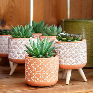 Geschenke und Dekoratives aus der Gärtnerei Rühe in Mirow