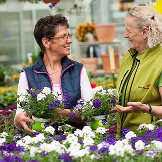 Fachberatung vom Profi in der Gärtnerei Rühe in Mirow